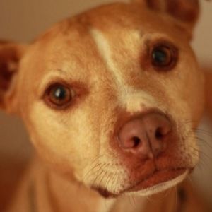 Meet your Posher, Ron & marina